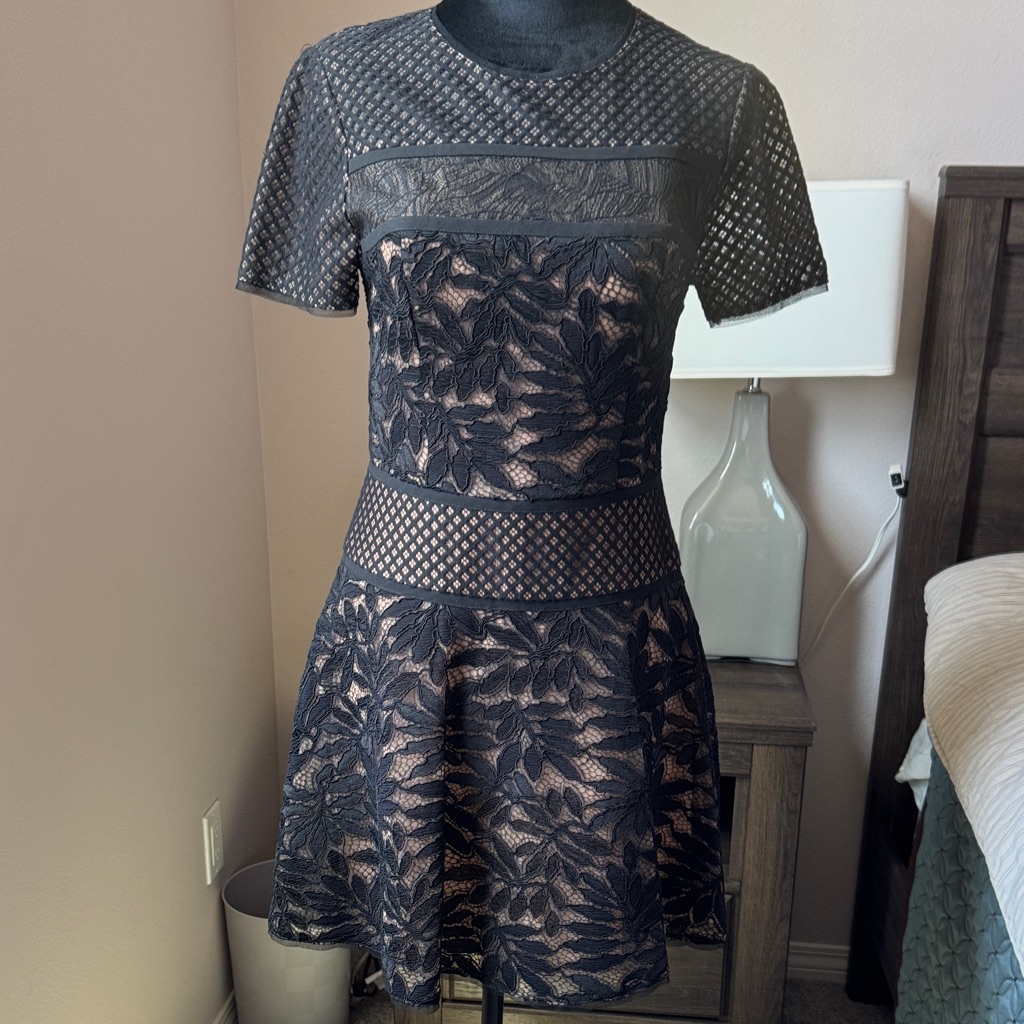 Bcbgmaxazria Black And Nude Lace Mini Dress